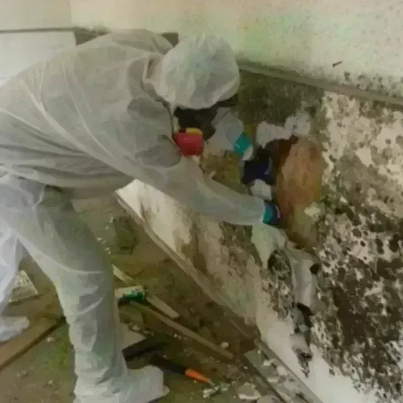 Mold Remediation and Removal in Peterborough, NH